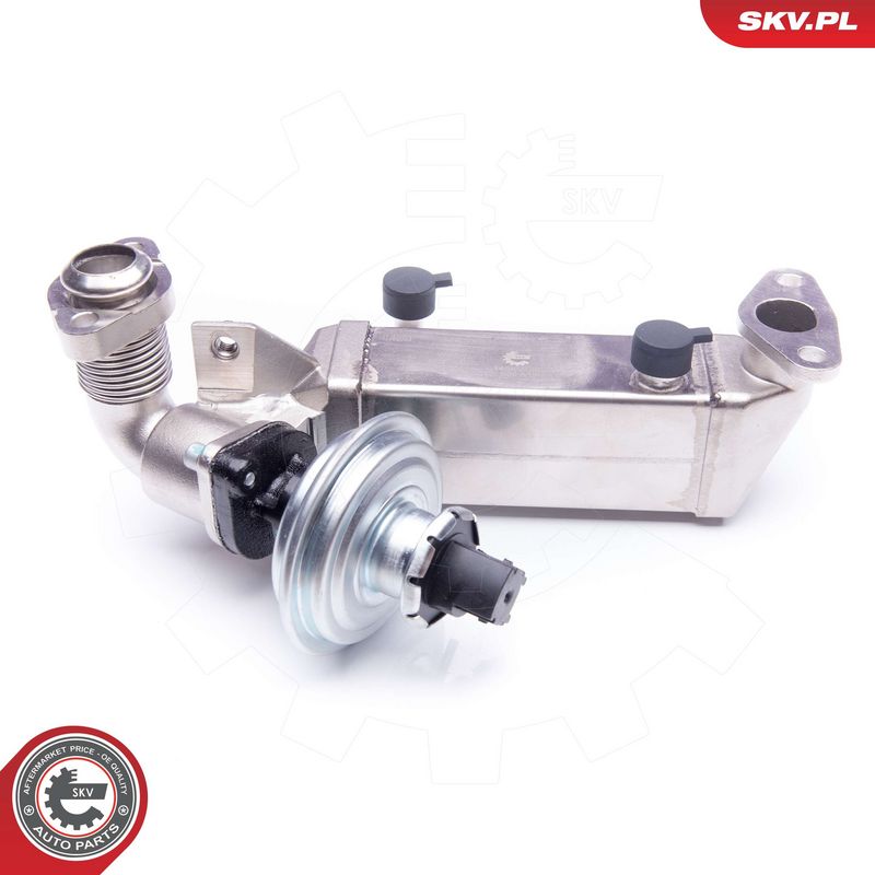 EGR-klapp, ESEN SKV 14SKV136