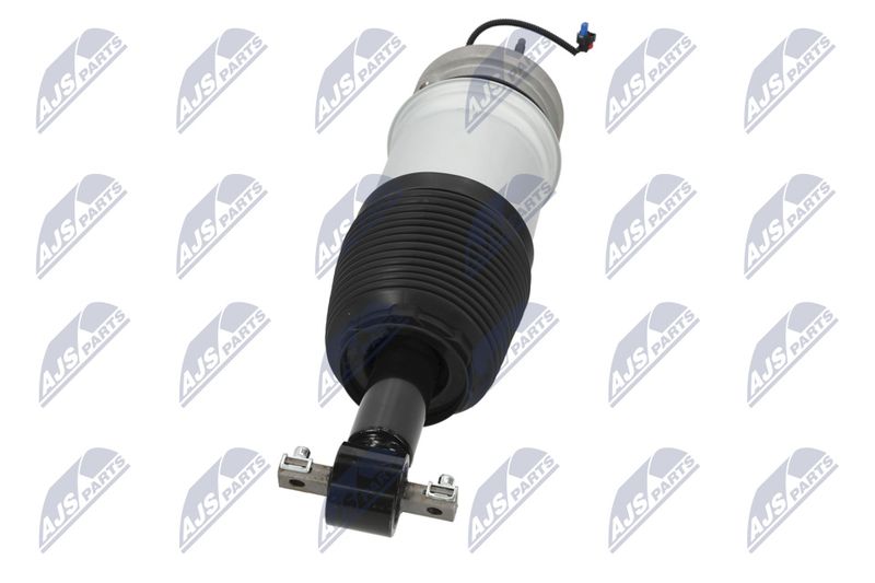 Amort, NTY A-CH-098