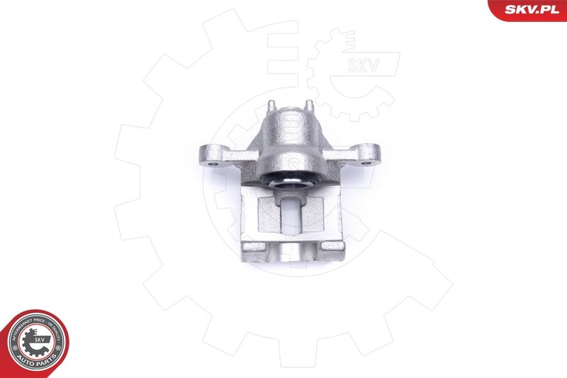 ESEN SKV 42SKV563 Brake Caliper