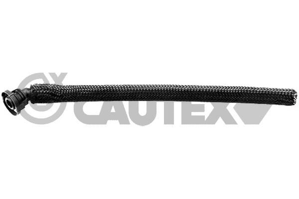 CAUTEX 757486 - Hose, crankcase ventilation