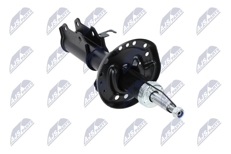 Amort, NTY A-PL-029