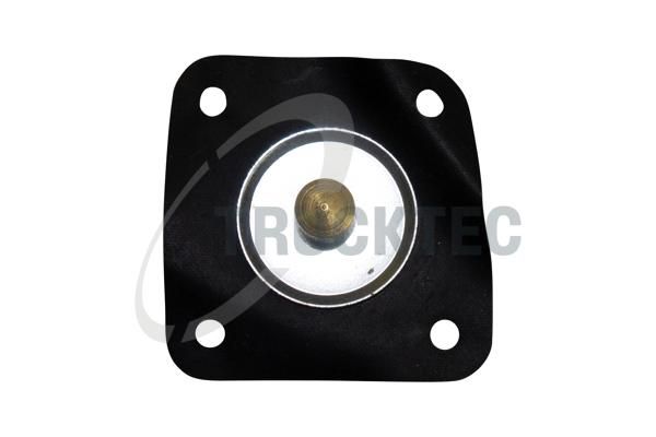 Membraan, Karburaator,...