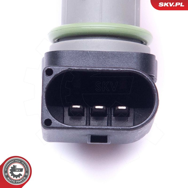 Andur, Nukkvõllipositsioon, ESEN SKV 17SKV495