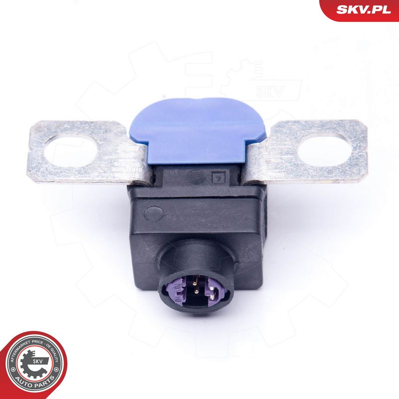 Ülepinge kaitseseade,...