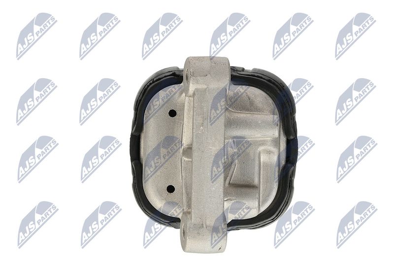 Paigutus, Mootor, NTY ZPS-CH-019