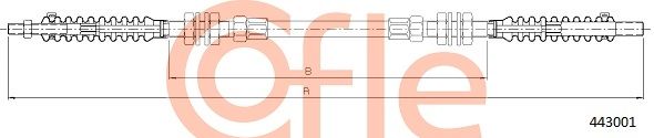 443001_1.JPG