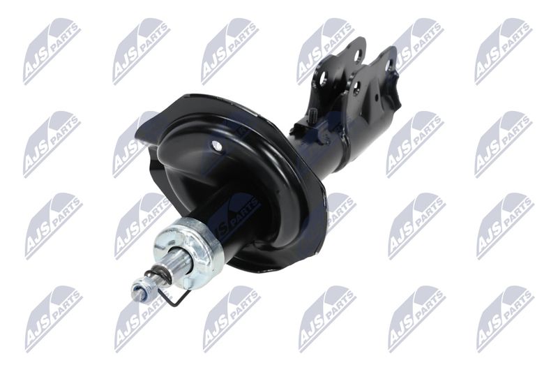Amort, NTY A-MS-015