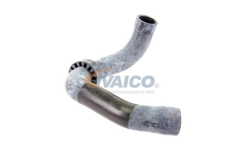 VAICO V30-2220 Radiator Hose