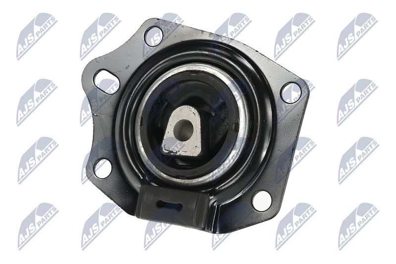 Paigutus, Mootor, NTY ZPS-CH-014