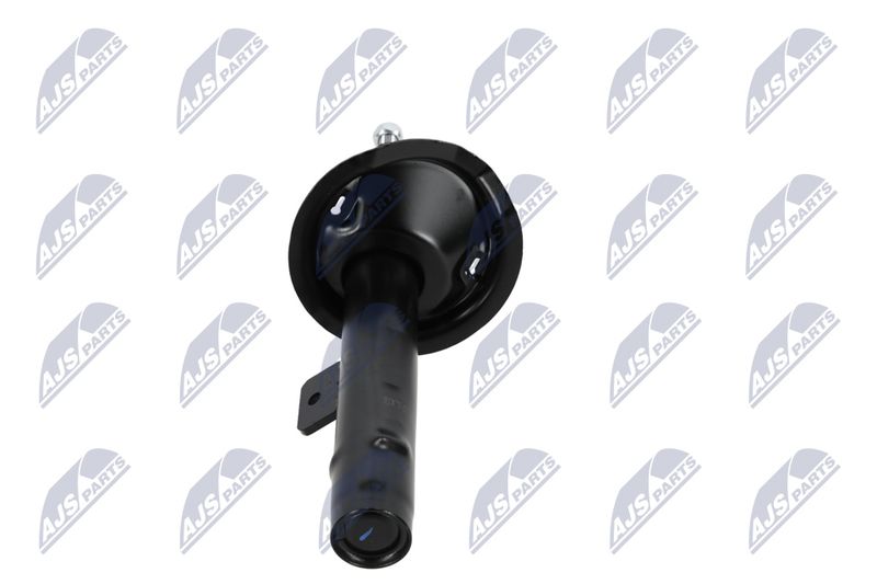 Amort, NTY A-CT-020