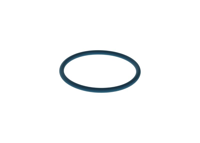 Inel cauciuc F 00N 204 108 BOSCH