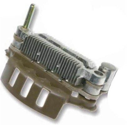 DDF_AMP1382_WR.JPG