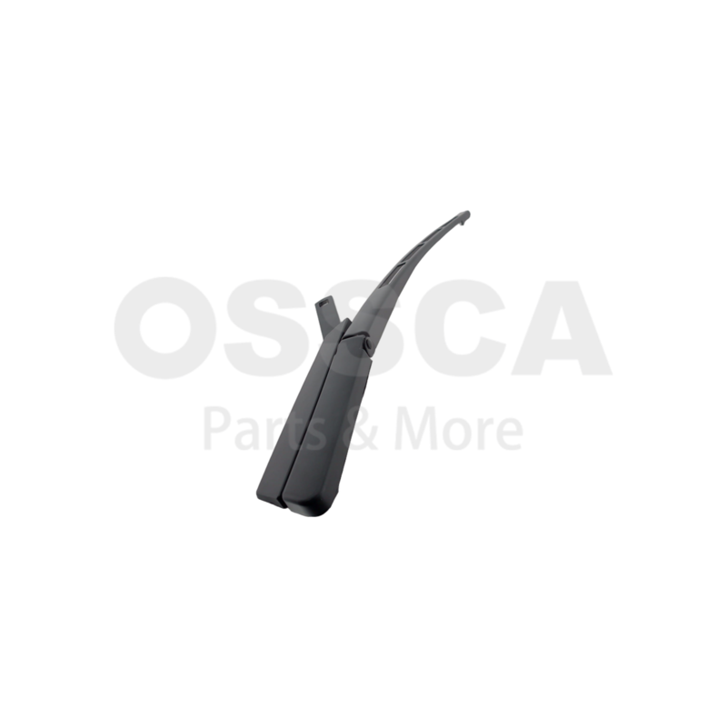 Kojamees, klaasipesu, OSSCA 26571