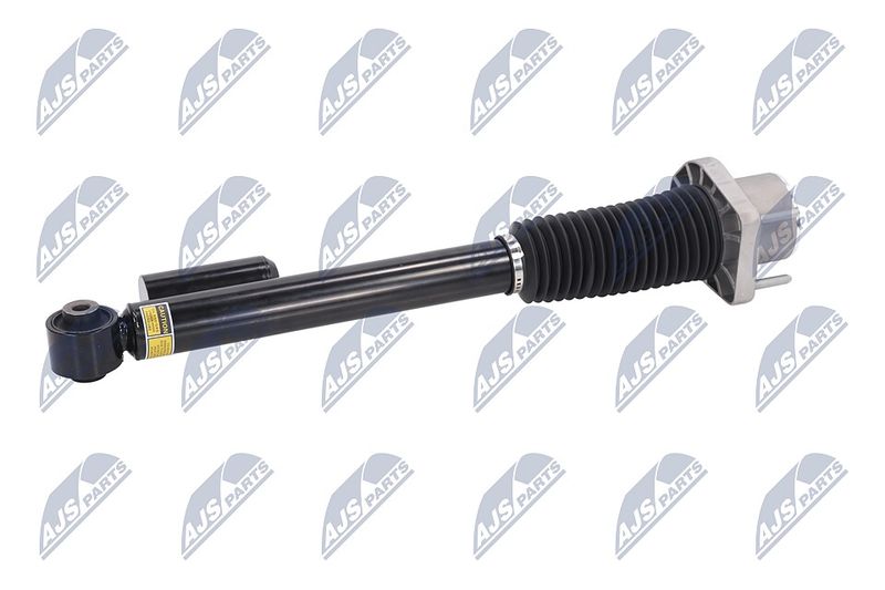Amort, NTY A-LR-019