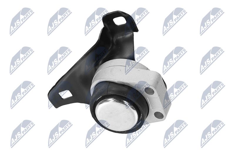 Paigutus, Mootor, NTY ZPS-FR-011