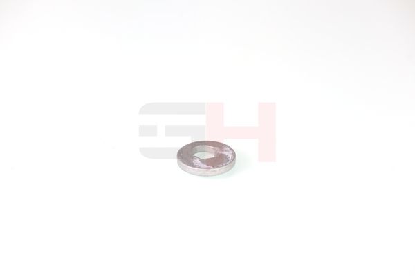 caster shim, sillatala, GH GH-391582