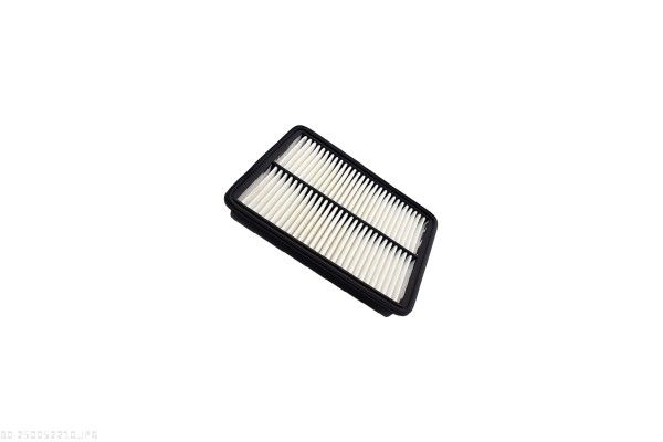 AUTOMEGA 250052210 Air Filter