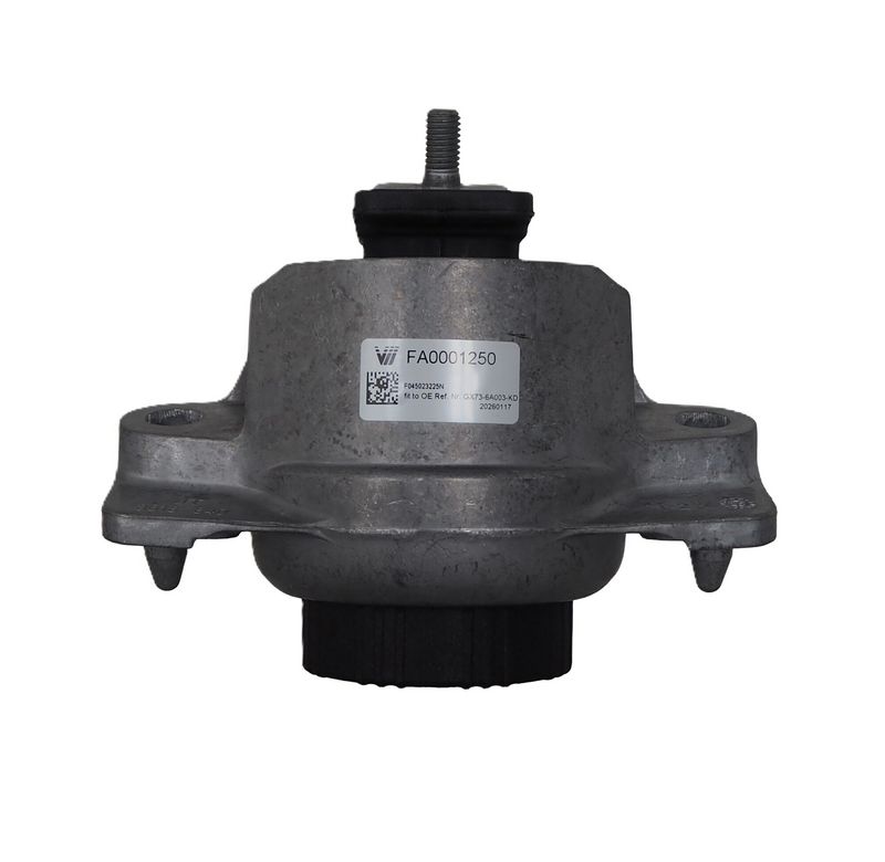 Prekė atitinka OEM kodą: T4N13011