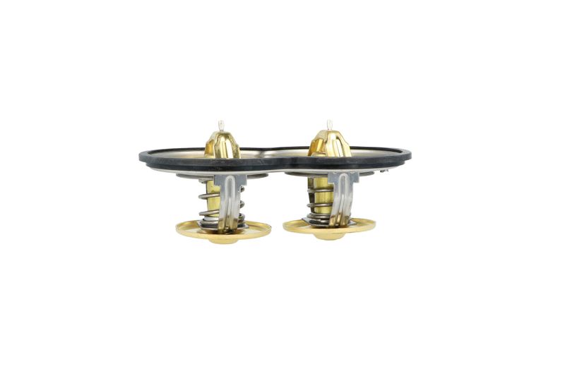Termostat, chladivo 725374