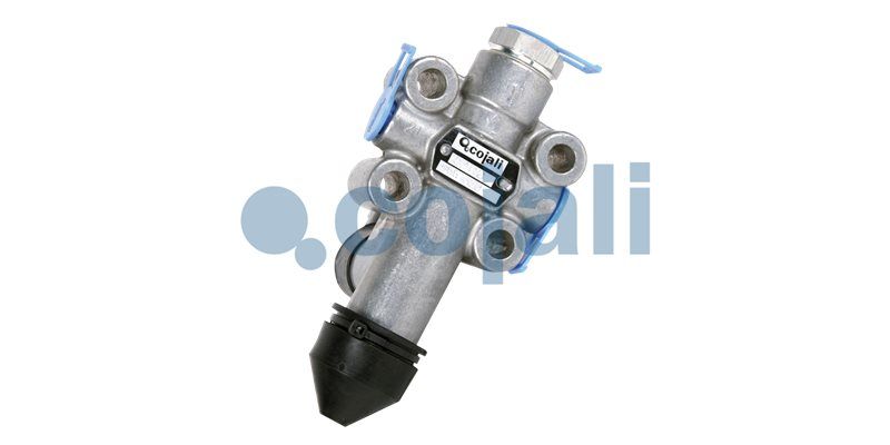 Supapa perna aer COJALI 2314308