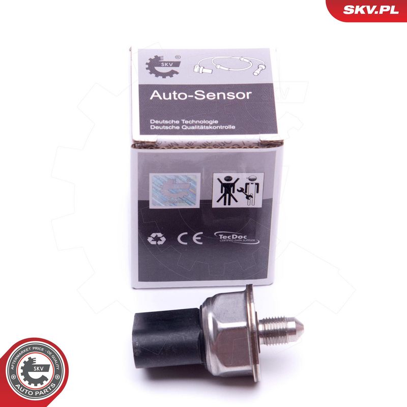 Andur, kütuserõhk, ESEN SKV 17SKV597