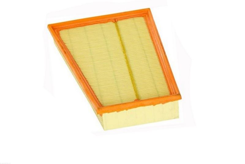 AUTOMEGA 180053210 Air Filter