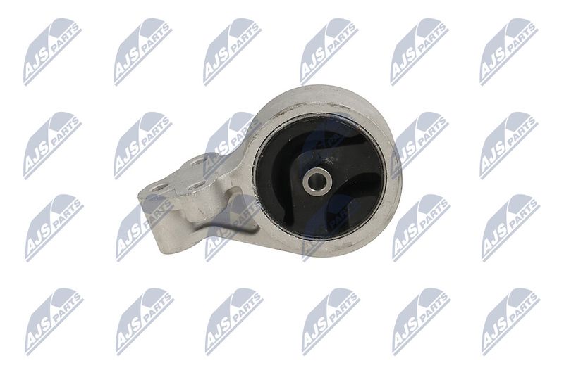 Paigutus, Mootor, NTY ZPS-MS-016