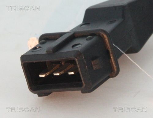 885521105_2.JPG