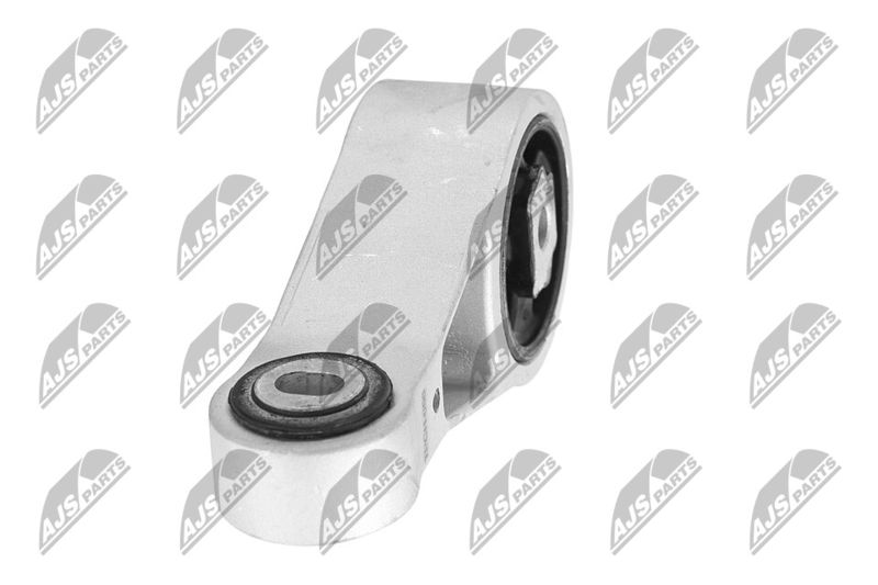 Paigutus, Mootor, NTY ZPS-CH-056