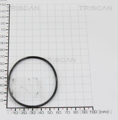 TRIS8813997.JPG