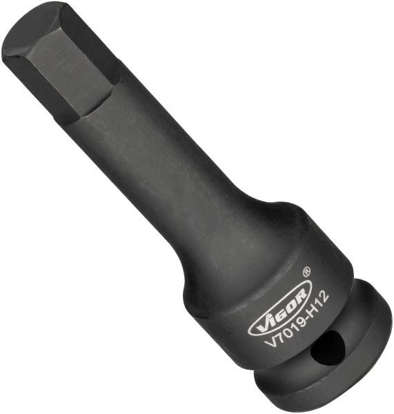 Padrun, VIGOR V7019-H12