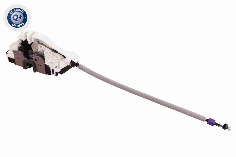 V30-85-0039_04.JPG