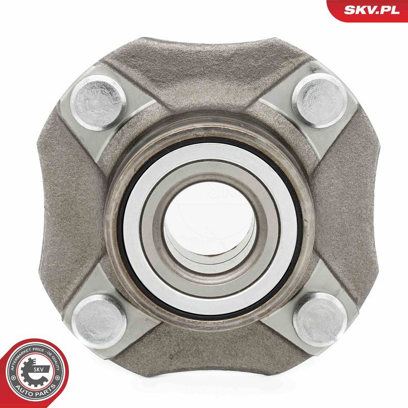 ESEN SKV 29SKV665 Wheel Bearing Kit