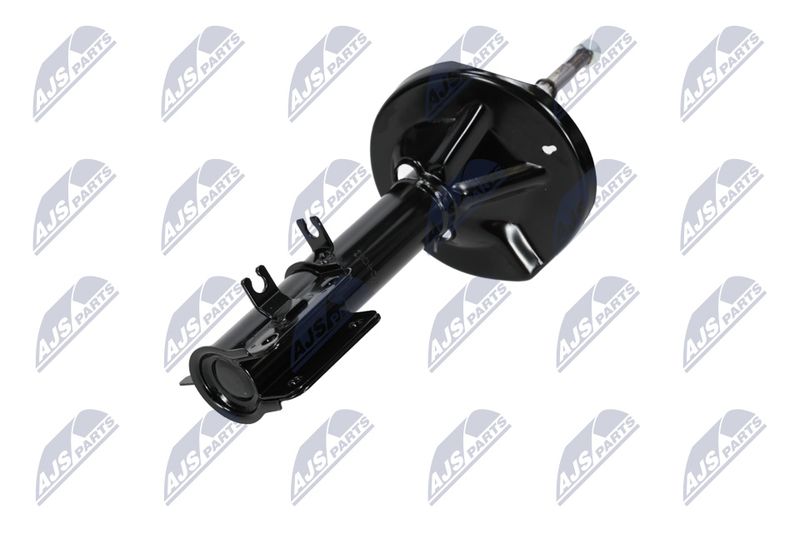 Amort, NTY A-CH-053