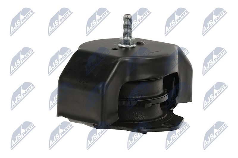 Paigutus, Mootor, NTY ZPS-MS-011