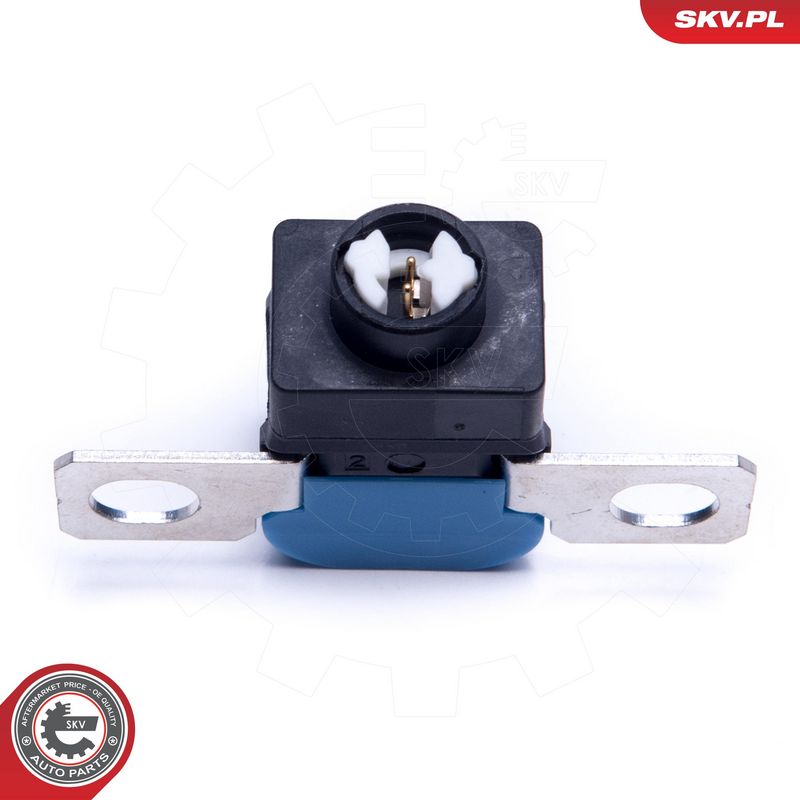 Ülepinge kaitseseade,...