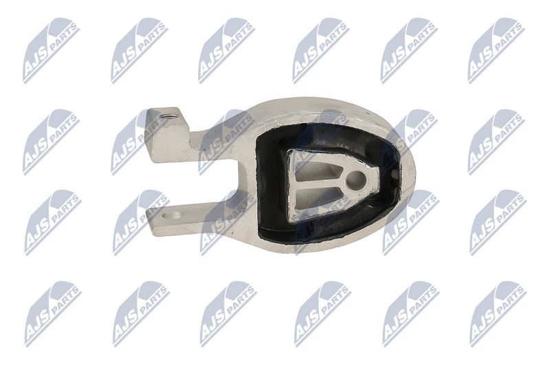 Paigutus, Mootor, NTY ZPS-FR-037