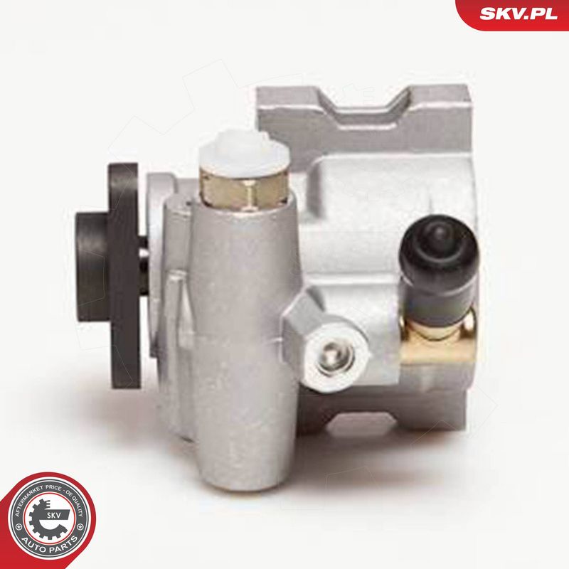 ESEN SKV 10SKV055 Hydraulic Pump, steering