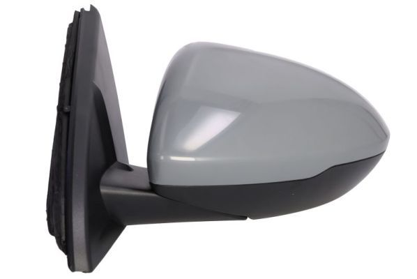 BLIC 5402-04-1785310P Exterior Mirror