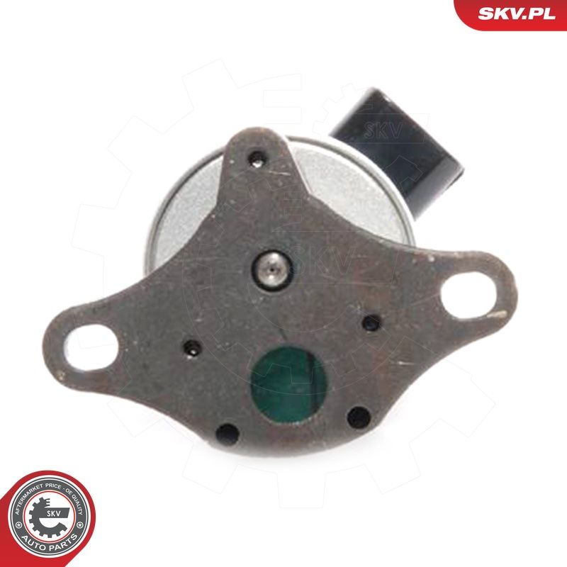 EGR-klapp, ESEN SKV 14SKV041