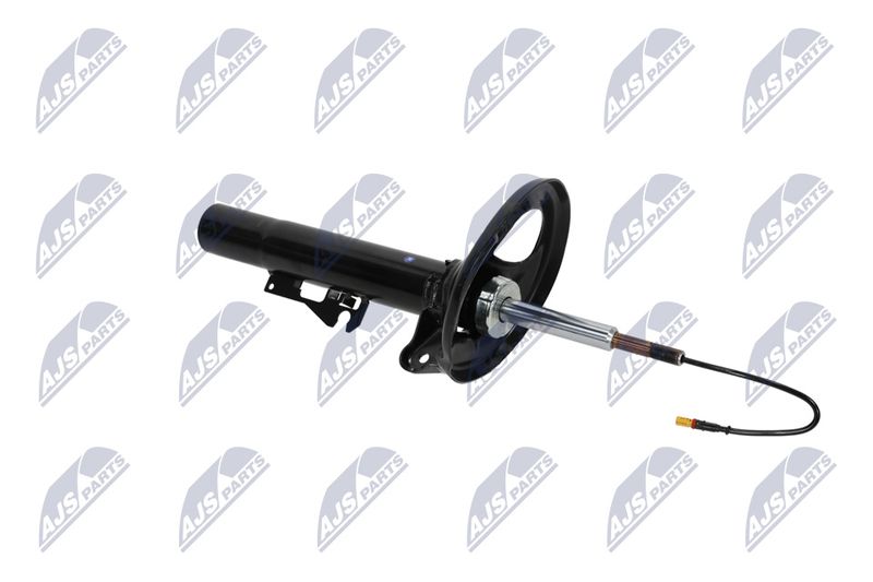 Amort, NTY A-PS-012