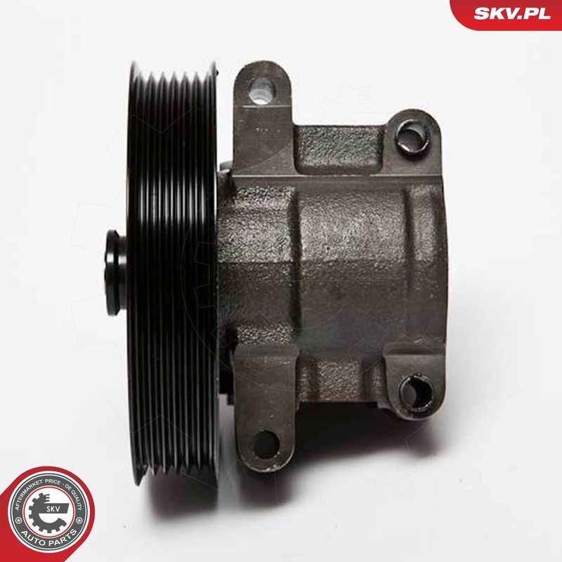 ESEN SKV 10SKV067 Hydraulic Pump, steering