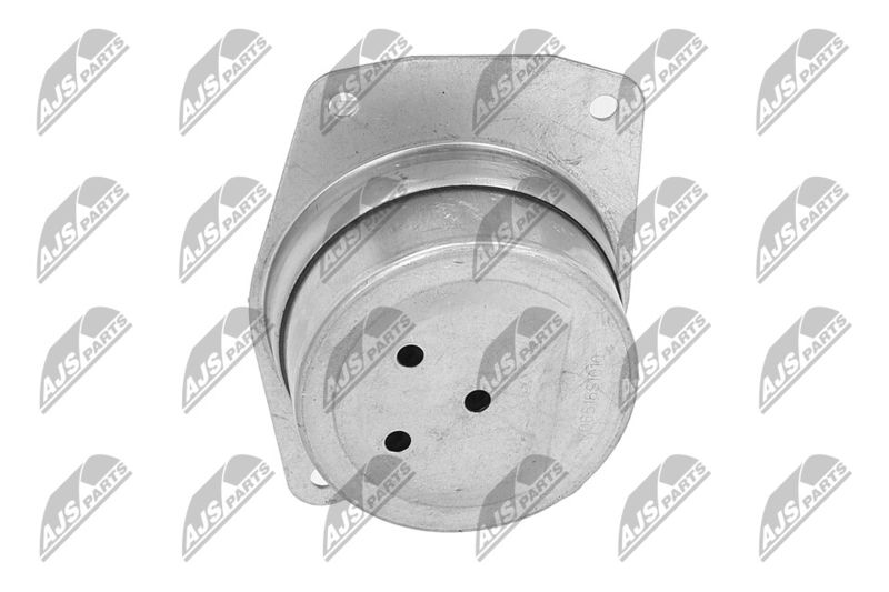 Paigutus, Mootor, NTY ZPS-PL-025