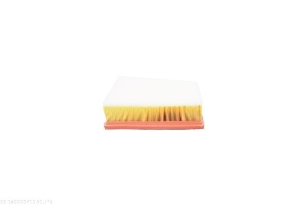AUTOMEGA 180020710 Air Filter