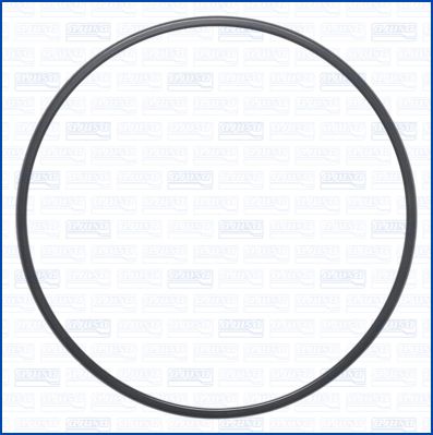 Brandstofpomp pakking/afdichting (o-ring)