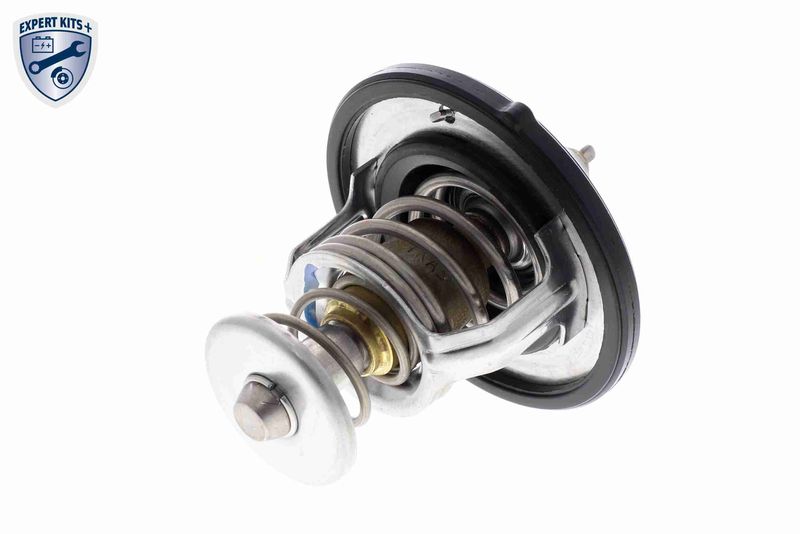 ACKOJA A52-99-0019 Thermostat, coolant