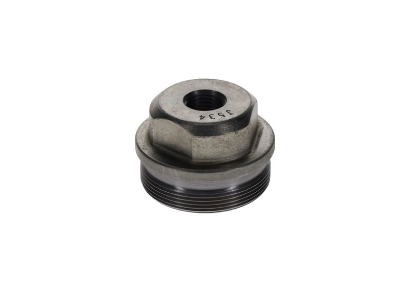 BOSCH F 002 D12 534 Screw