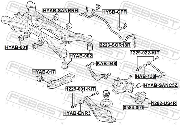 Puks, FEBEST HYAB-017