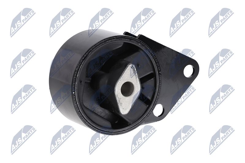 Paigutus, Mootor, NTY ZPS-CH-064