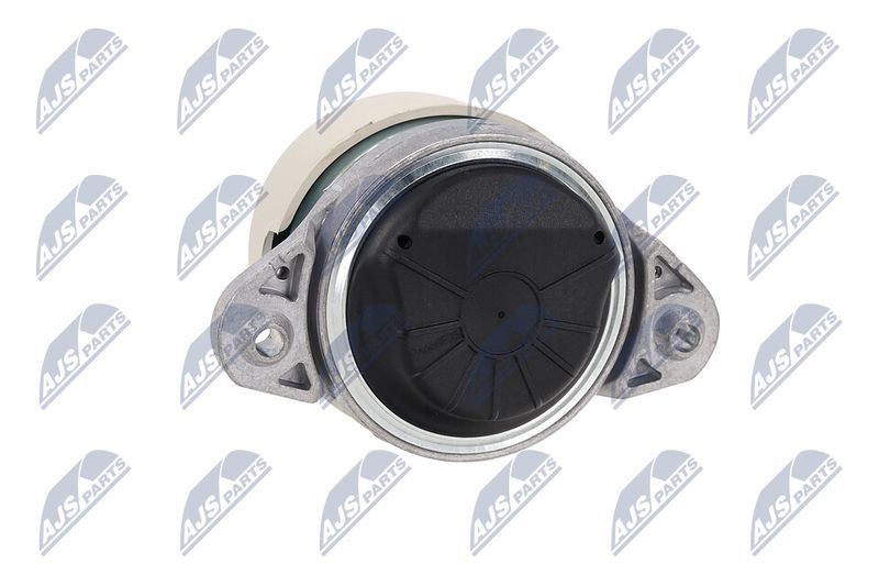 Paigutus, Mootor, NTY ZPS-ME-038